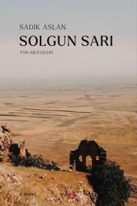 SOLGUN SARI