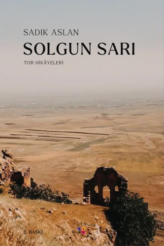 SOLGUN SARI SADIK ASLAN